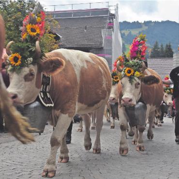 Gstaad Züglete 2022 – ein Publikumsmagnet - Kunstvoll mit Blumen besteckt, erinnerte nichts mehr an den Melkschemel, der den Gestecken als Gerüst diente. FOTO:LUCA DIAMANTE