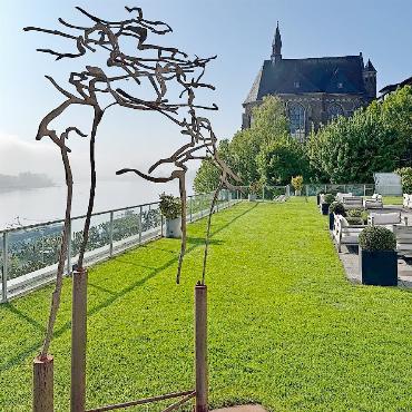 Cantate Chor in Bonn und Köln – im Banne des Rheins - Morgenstimmung am Rhein in Bonn.
