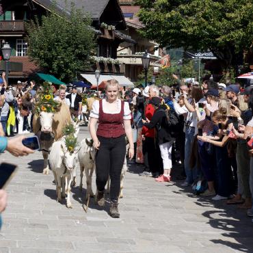 Zehn Jahre Züglete: Gstaad feiert Tradition mit Herz - Geschmückte Kühe und Ziegen zügeln durch die gut besuchte Promenade. FOTO: SONJA WOLF