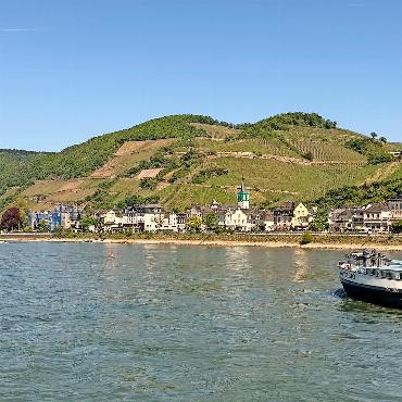 Cantate Chor in Bonn und Köln – im Banne des Rheins - Rhein-Weinberge.
