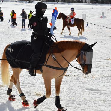 Mit Pferd und Ski um die Wette fahren