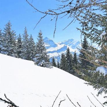 LESERBILDER - «Am Dienstag auf Skitour in der Stille der Natur…», schreibt unsere Leserin Anita von Siebenthal. FOTO: ANITA VON SIEBENTHAL, GSTAAD