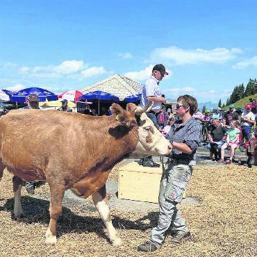 «Viehsteigerig ufem Hore – e gfröuti Sach mit vilne zfridne Lüt» - Gantrufer Andreas Aebi wusste die Tiere – wie immer – kurzweilig und mit Humor anzubieten. FOTOS: RUTH ANNEN-BURRI