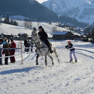 Mit Pferd und Ski um die Wette fahren