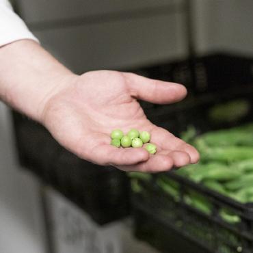 Gourmetbibel enthüllt Gstaader Geheimzutaten: regional, saisonal, nachhaltig - «Gstaad Peas», Erbsen vom örtlichen Gemüsehändler.