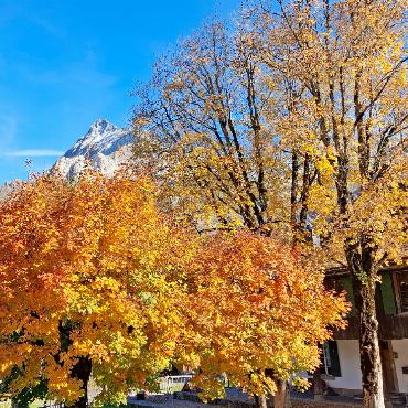 Herbstwanderung der Senioren von Feutersoey nach Gsteig - Die wunderbare Farbenpracht erfreute unser Gemüt.