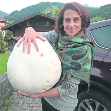 LESERBILDER