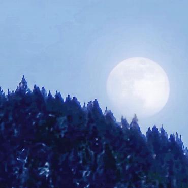 Telemarkclub Gstaad: mondsüchtig - Der Vollmond: Grund des Ausflugs. FOTOS: ZVG