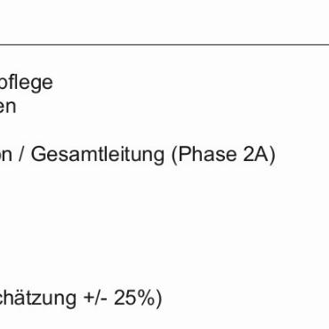 AMTLICHER ANZEIGER SAANEN, 08.04.2025