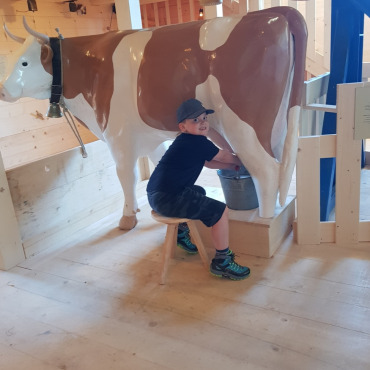 Kinderparadies auf dem Rinderberg