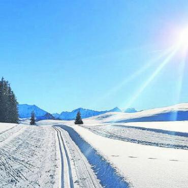Sparenmoos: AFA Bus – Start Jubiläum - Am Samstag startet der AFA-Busbetrieb in die Jubiläumssaison. Milliarden Schneeblumen verzaubern bereits jetzt das Sparenmoos. FOTO: ZVG