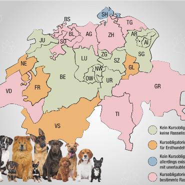 Seinen Hund kennen und lesen - Seit 2017 wird in der Schweiz das Hundekursobligatorium kantonal geregelt. So gibt es grosse Unterschiede in der Handhabung: Mancherorts sind einige Rassen komplett verboten, anderenorts unterliegen die selben Rassen keinerlei Auflagen. GRAFIK: NICOLAS GEISSBÜHLER / SUSANNE KAISER, HUNDE: ADOBESTOCK/ERIK LAM