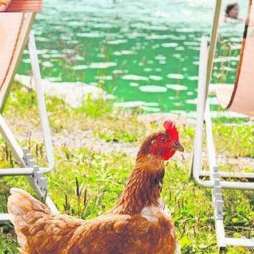 Tanz auf dem Wasser - «Ich habe gehört, hier steigt eine Party?»