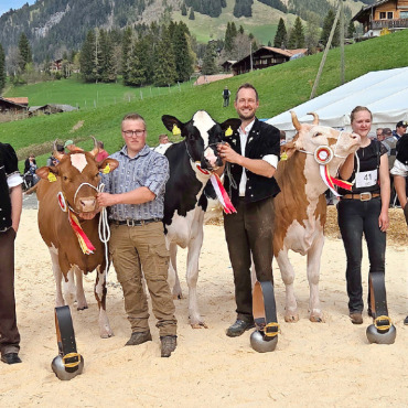 Nachwuchs glänzt an der Viehschau - Präsentation der Missen: v.l. Ehrendame Bigna Reichenbach; Richter Sven Bigler; Miss SF von Toni Bergmann, Abländschen; Miss Red Holstein/Holstein von Viktor Reber, Zweisimmen; Miss Simmental von Vanessa Perren, St. Stephan; Ringmann Michael Zbinden und Ehrendame Debora Allenbach.   FOTO: EUGEN DONRBIERER-HAUSWIRTH