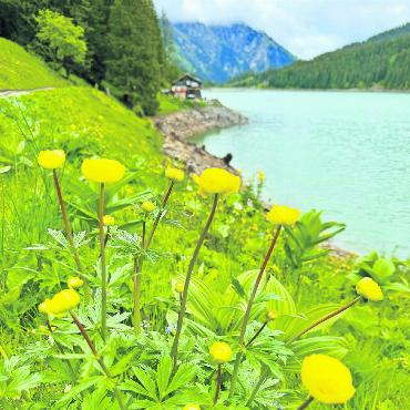 LESERBILDER - «Ankebälleni am Arnesee», schreibt Annemarie Brand zu ihrem Foto. FOTO: ANNEMARIE BRAND, LÜTZELFLÜH