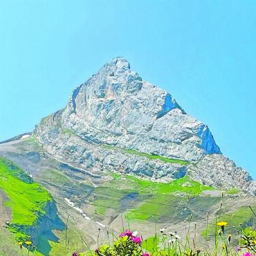 LESERBILDER - Das Oldenhorn, geschmückt mit Alpenrosen. FOTO: BEAT ANDEREGG, SAANEN