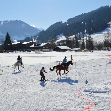 Mit Pferd und Ski um die Wette fahren