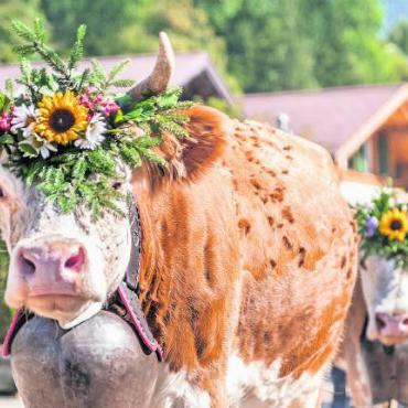 Dorforganisationen verbinden - sind Sie ein Teil davon?