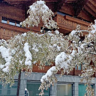 Schneechaos trifft Verkehr und Stromnetz - Die frischen Frühlingsblüten erlitten einen Kälteschock, manche fielen dem Wintereinbruch auch zum Opfer und knickten ab. FOTOS: JOCELYNE PAGE