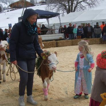 Ein guter Grund zum Feiern – die 10. Rinderexpo Saanenland