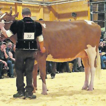 Zweimal Rang 2 für Ferdinand Bergmann - Kilian Alena von Ferdinand Bergmann. FOTO: ZVG