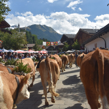 Gstaad Züglete 2022 – ein Erlebnis in jeder Hinsicht - (Fotos: Luca Diamante)