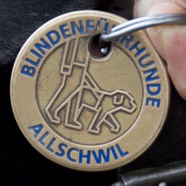 Glück und Liebe auf vier Beinen