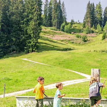 Viele Besuchende an Saanis Familienprogramm - FOTOS: GST