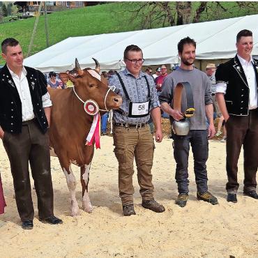Nachwuchs glänzt an der Viehschau - Miss Swiss Fleckvieh von Toni Bergmann, Abländschen.