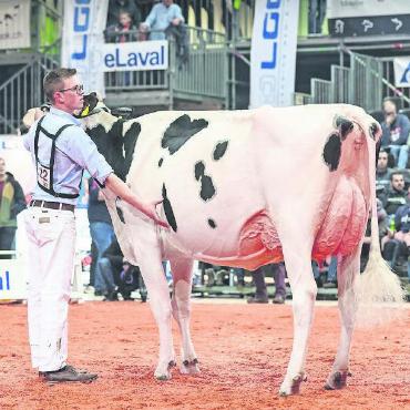 Seltener Grosserfolg für Sabrina Gobeli - Gobelis Jackpot Paige, Junior Championne HO. FOTOS: ZVG
