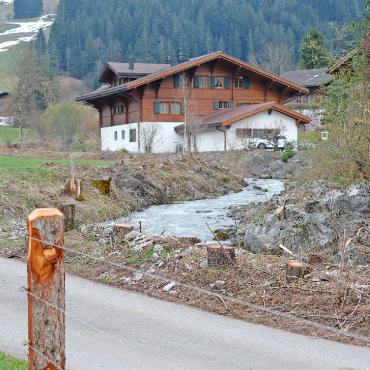 Wegen Baumkrankheiten und Hochwasser: An der Saane wird gesägt - Am Chalberhönibach wurden unter anderem Rottannen gefällt. Das hat seine Gründe.
FOTOS: JONATHAN SCHOPFER
