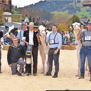 Die Topschau – zum 21. Mal immer noch hoch im Kurs - Redholstein/Holstein: vl. Miss Schöneuter Pink Flower, Miss Topschau Power Faida und Ehrerwähnung
