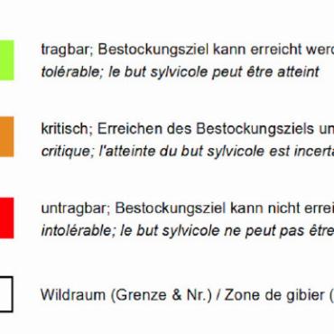 Wild und Wald – eine Ambivalenz