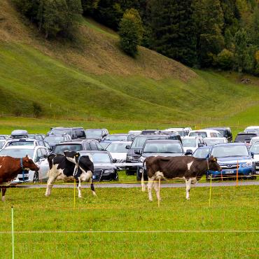 Es war allerhand los am Gsteigmäret