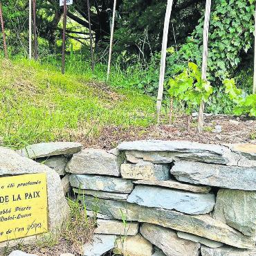 Club «Wein & Genuss»: Ausflug ins Wallis - Foto links: Der kleinste Weingarten der Welt! Foto rechts: Weinberge rund um Leytron.