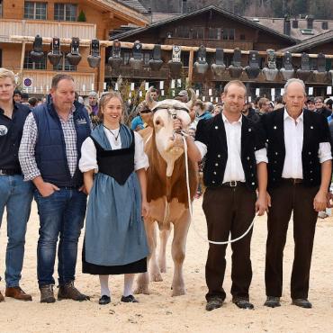 Munitaufe im Sägemehlring - Das Organisationskomitee freut sich, den Siegerpreis für das Oberländische Schwingfest 2026 zu präsentieren. V.l. Ehrendame Nicole Aellen, Götti Fabrice von Grünigen, Dominique Zurbrügg (Finanzen), André Zahler (Schwingkomitee), Urs Aellen (Gaben), Alex Gobeli (Spender Lebendpreis, Festwirtschaft), Gotte Danja Allenbach, Valeto mit seinem Besitzer Daniel Trachsel (Vizepräsident), Erich Zingre (Spender Lebendpreis), Andy und Eva Mösching (Sponsor Siegermuni und Bauchef), Brigitte Rieben (Kassierin) und Ehrendame Annina Kneubühler. Es fehlen: Bruno von Siebenthal (Präsident), Marlies Bircher (Sekretärin), Florian Aellen (Schwingkomitee), Patrik Matti (Jungschwingertag) und Fritz Schmocker (Vertreter des Oberländischen Schwingerverbandes). FOTOS: VRENI MÜLLENER