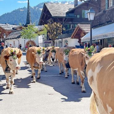 Die «Zügelsaison» hat begonnen - FOTOS: ANITA MOSER