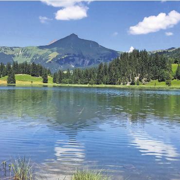 LESERBILDER - «I gange no meh … a Louenesee.» FOTO: VERENA REICHENBACH, WIEDLISBACH