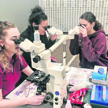 Gesundheitsberufe: gelungenes Jubiläum - Genau hinschauen: Am Laborstand wird nicht nur das Blut unter die Lupe genommen, sondern auch der Beruf der Biomedizinischen Analytikerin. FOTO: ZVG