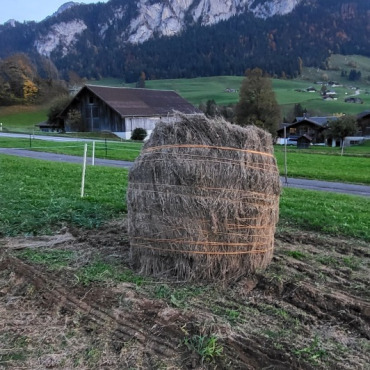 1800 Kilogramm Flachs aus den Bergen