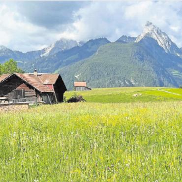 LESERBILDER - Rechts: Frühsommertag in der Wijermad. FOTO: RENE PIEREN, ZWEISIMMEN