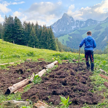 Teekräuteranbau auf dem Eggli: Jungunternehmer verwirklichen sich - Florian Ryter bei der Arbeit.