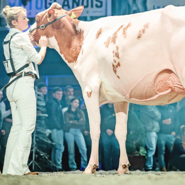 Die Miss Topschau überzeugt auch an der Junior Expo Bulle - Gobeli’s Power Faida, ausgestellt von Sabrina Gobeli, Saanen. FOTO: GUILLAUME MOY