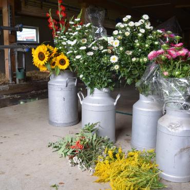 10 Years of Züglete – A Retrospective
