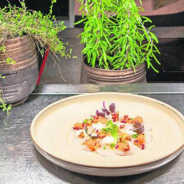 Zwei Freunde leben endlich ihren Traum - Ein Jakobsmuschel-Carpaccio mit Wasabiperlen, Ingwer-Mayonnaise und Karotten.