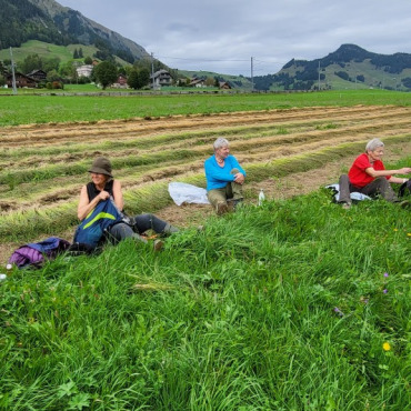 Der Bergflachs ist nach harter Arbeit gerauft