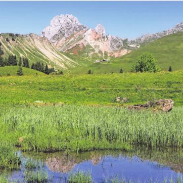 Ein Sommertag im Abländschner Tal