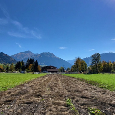 1800 Kilogramm Flachs aus den Bergen