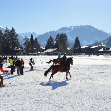 Mit Pferd und Ski um die Wette fahren