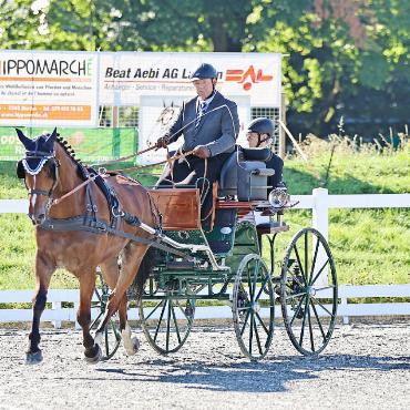 Bronzemedaille an der Schweizermeisterschaft für junge Sportpferde - Dank der guten Resultate, die Andrea und Christian Schopfer im Sommer erzielten, durften sie an der Schweizermeisterschaft teilnehmen. FOTOS: ZVG